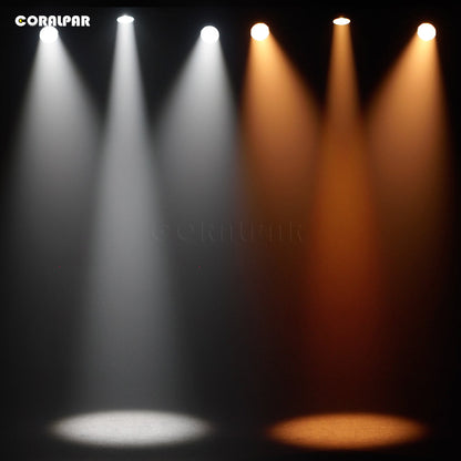 Waterproof LED Zoom&Wash Par 300W Cool&Warm White 2in1 Light（IP65) High Brightness for Church Theater Wedding CORALPAR